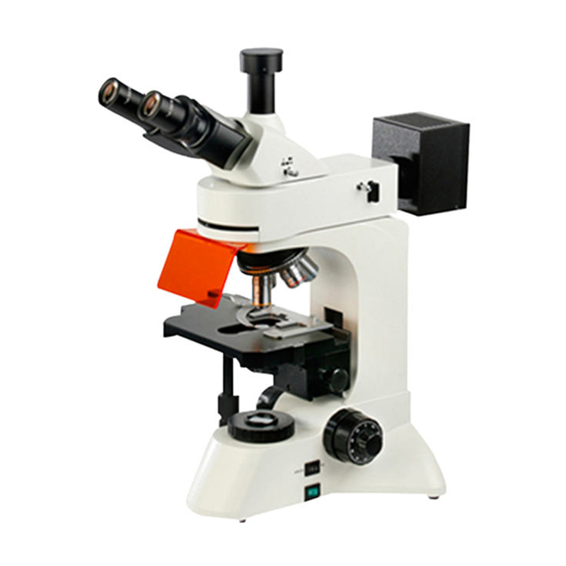 TFM-680研究型荧光显微镜